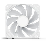 Sharkoon SHARK Mirror RGB PWM, Sag fan Hvid