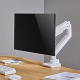 SilverStone SST-ARM14, Skærmbeslag Hvid
