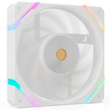 Valkyrie VK-FANX12FW, Sag fan Hvid