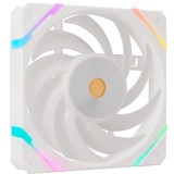 Valkyrie X12F ARGB 120, Sag fan Hvid