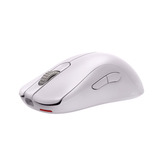 Zowie ZA12-DW, Gaming mus Sort