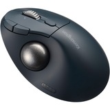 Kensington Trackball Sort/Blå