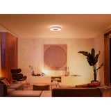 Philips White & Color Ambiance Infuse Loftlampe M, LED lys Hvid