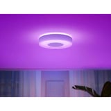 Philips White & Color Ambiance Infuse Loftlampe M, LED lys Hvid