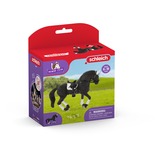 Schleich HORSE CLUB 42457 legetøjsfigur til børn, Spil figur 5 År, Flerfarvet, Plast