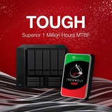 Seagate IronWolf NAS 2 x 4 TB Bundle, Harddisk 