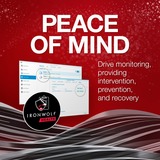 Seagate IronWolf NAS 2 x 4 TB Bundle, Harddisk 