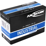 Ansmann 1502-0005 husholdningsbatteri Engangsbatteri AA Lithium Engangsbatteri, AA, Lithium, 1,5 V, 10 stk, Sort