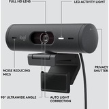Logitech Brio 500, Webcam Sort