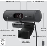 Logitech Brio 500, Webcam Sort