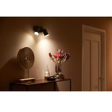 Philips Hue White & Color Ambiance Fugato 2-Spot, Lampe Sort
