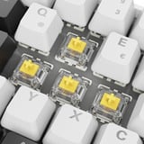 Sharkoon SKILLER SGK50 S4 Gen2, Gaming-tastatur Hvid, DE-layout, Gateron Yellow