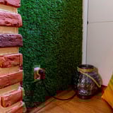 Shelly Wave Plug S LR, Stikdåse Hvid