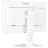 iiyama XUB2497HSU-W2, LED-skærm hvid (mat)
