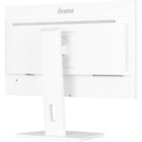 iiyama XUB2497HSU-W2, LED-skærm hvid (mat)