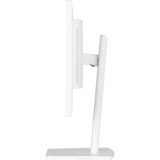 iiyama XUB2497HSU-W2, LED-skærm hvid (mat)