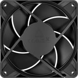ARCTIC P12 Pro LN, Sag fan Sort