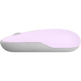 ASUS Marshmallow MD100 mus Kontor Ambidextrous RF trådløs + Bluetooth Optisk 1600 dpi Lilla/grå, Ambidextrous, Optisk, RF trådløs + Bluetooth, 1600 dpi, Lilla