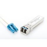 Digitus mini GBIC (SFP) modul, Transceiver 