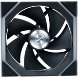 Lian Li LULI-093, Sag fan Sort