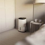 Meaco Dry Arete Two 20L Kompressor-affugter og luftrenser Hvid/Sort