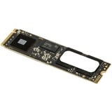 OWC Aura Ultra IV 500 GB, Solid state-drev 