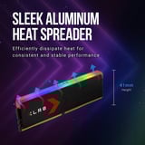 PNY DIMM 32 GB DDR5-6000 (2x 16 GB) Dual-kit, Hukommelse Sort