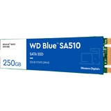 WD Blue SA510 M.2 250 GB Serial ATA III, Solid state-drev Blå/Hvid, 250 GB, M.2, 555 MB/s, 6 Gbit/sek.