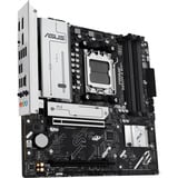 ASUS Bundkort 