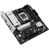 ASUS Bundkort 