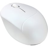 ASUS Fragrance Mouse MD101 mus Hjem Ambidextrous RF trådløs + Bluetooth Optisk 2400 dpi Hvid, Ambidextrous, Optisk, RF trådløs + Bluetooth, 2400 dpi, Hvid
