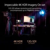 ASUS PA24US, LED-skærm Sort
