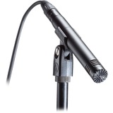 Audio-Technica AT2031, Mikrofon Sort