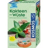 KOSMOS 658250, Eksperiment boks 