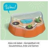 KOSMOS 658250, Eksperiment boks 