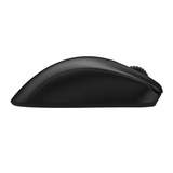 Zowie EC1-DW, Gaming mus Sort
