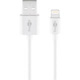 goobay 72905 Lightning kabel 0,5 m Hvid Hvid, 0,5 m, Lightning, USB A, Hanstik, Hanstik, Hvid