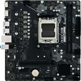 Biostar A620MS, Bundkort Sort