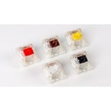 Keychron G48, Key switch Hvid/gennemsigtig