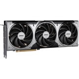 MSI V531-095R, Grafikkort 