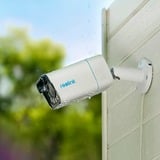 Reolink P430 Kugle (form) IP-sikkerhedskamera Indendørs & udendørs 3840 x 2160 pixel Væg, Overvågningskamera Hvid, IP-sikkerhedskamera, Indendørs & udendørs, Ledningsført, Google Assistant, Væg, Hvid