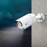 Reolink P430, Overvågningskamera Hvid