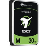 Seagate Harddisk 