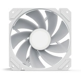 Sharkoon SHARK Mirror RGB PWM REVERSE, Sag fan Hvid