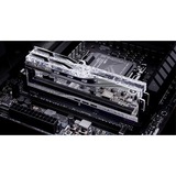 G.Skill F5-6400J3239F48GX2-TR5S, Hukommelse Sølv