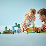 LEGO 10446, Bygge legetøj 