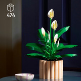 LEGO 11504, Bygge legetøj 