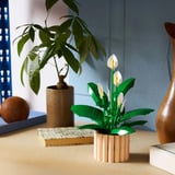 LEGO Botanicals Fredslilje, Bygge legetøj 