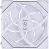 Lian Li 12SLIN1W1W, Sag fan Hvid