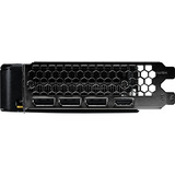 Palit GeForce RTX 5050 Dual 8GB, Grafikkort 